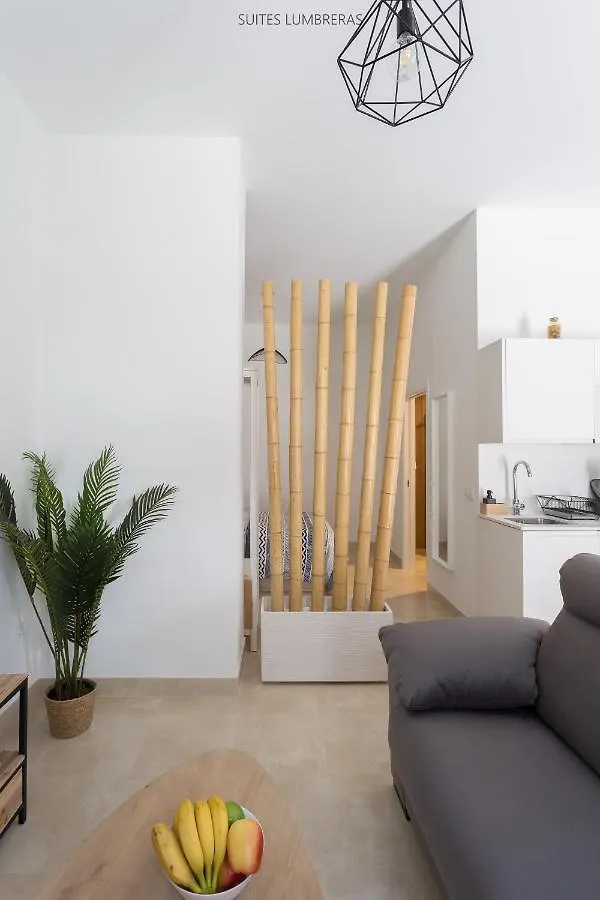 Suites Lumbreras Séville 0*,  Espagne