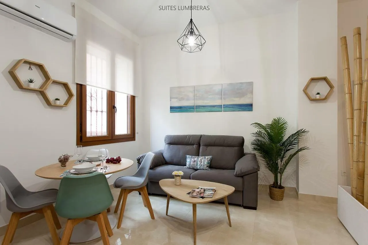 Apartment Suites Lumbreras Seville